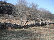 EHG4279_64.JPG