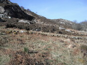 EHG4279_65.JPG