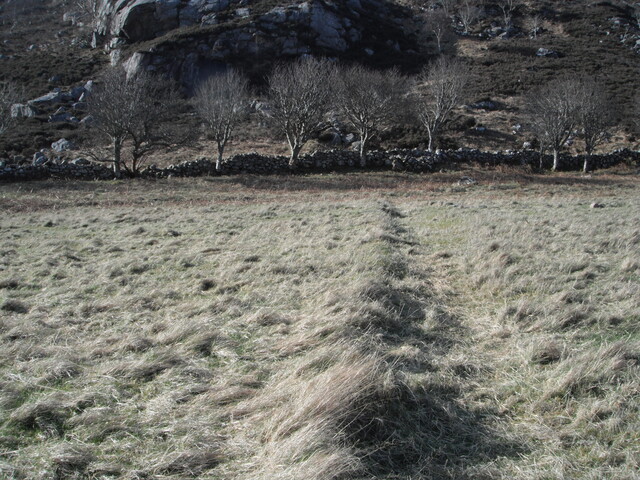 EHG4279_67.JPG