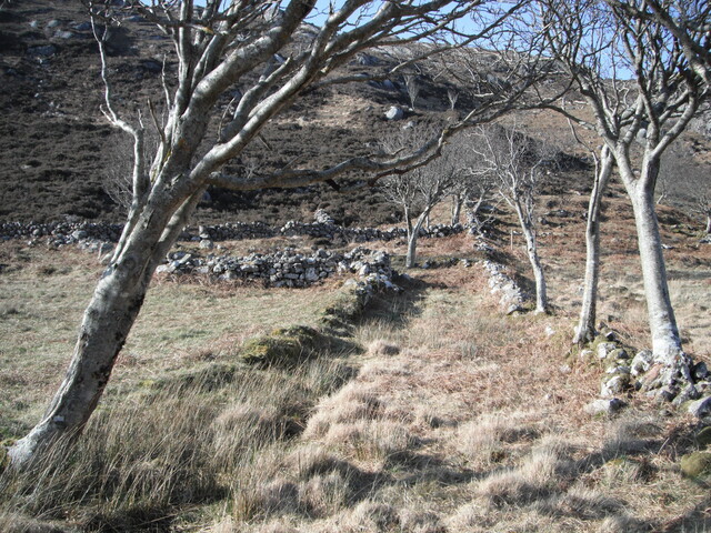 EHG4279_68.JPG