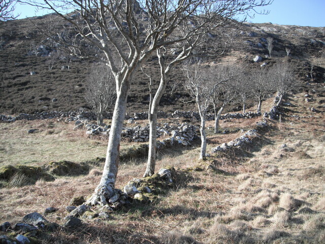 EHG4279_69.JPG
