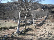 EHG4279_69.JPG