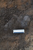 EHG4280_188.JPG