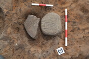 EHG4280_260.JPG