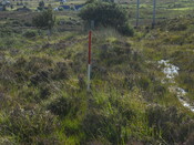EHG4284_03.JPG