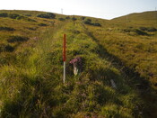 EHG4284_04.JPG