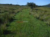 EHG4284_05.JPG