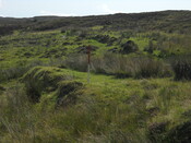 EHG4284_06.JPG