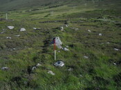 EHG4284_16.JPG