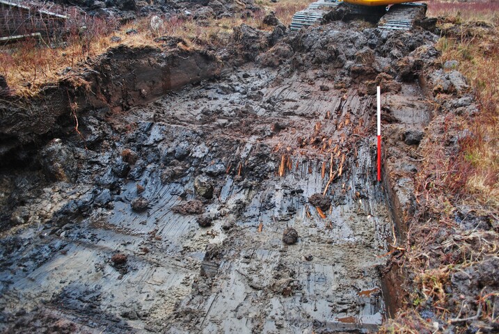EHG4305_05.JPG