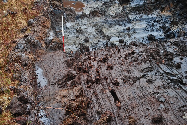 EHG4305_07.JPG