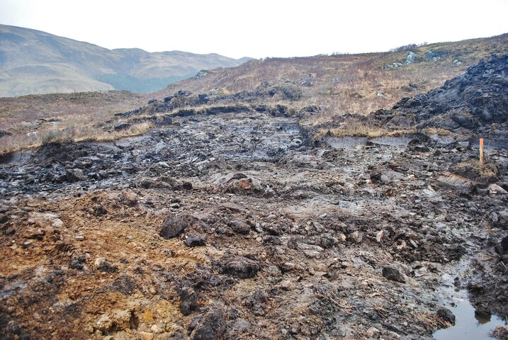 EHG4305_12.JPG