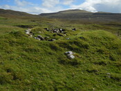EHG4306_08.JPG