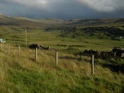 EHG4306_25.JPG
