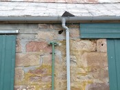 EHG4308_139.JPG