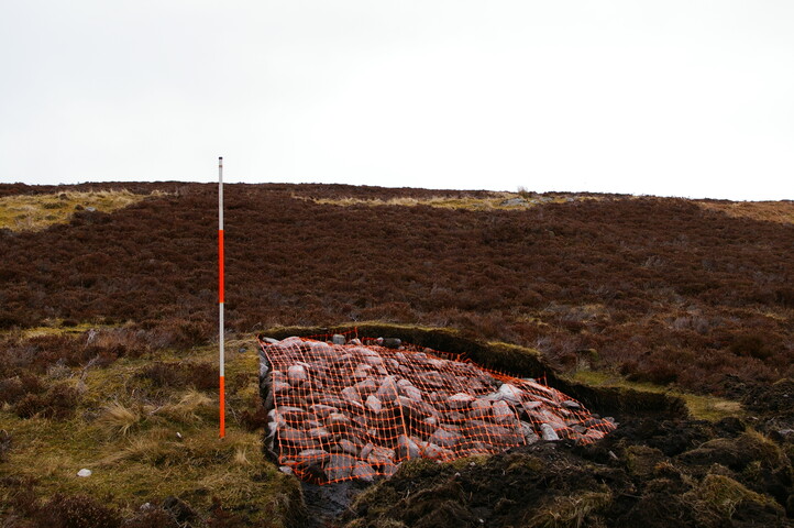 EHG4311_139.JPG
