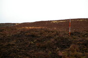 EHG4311_142.JPG
