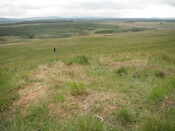 EHG4326_01.JPG