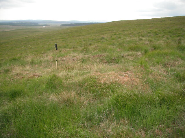 EHG4326_02.JPG