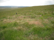 EHG4326_02.JPG