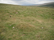 EHG4326_03.JPG