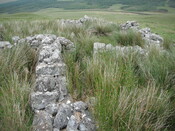 EHG4326_04.JPG