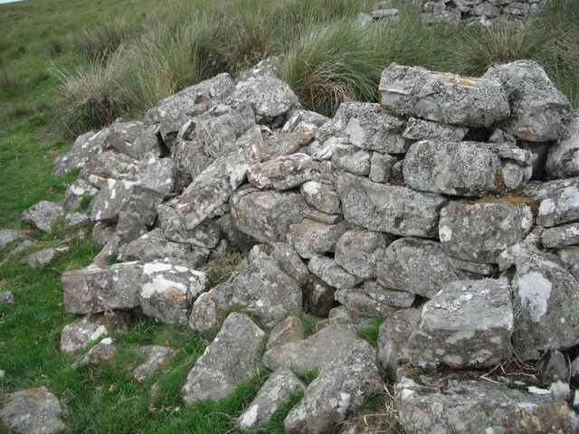 EHG4326_05.JPG
