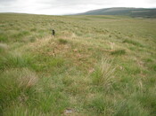 EHG4326_09.JPG