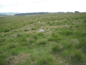 EHG4326_10.JPG