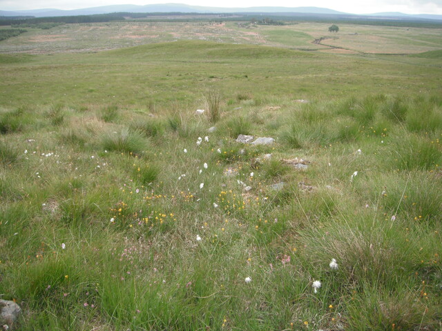 EHG4326_12.JPG