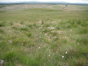 EHG4326_12.JPG