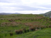 EHG4327_001.JPG