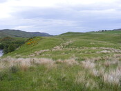 EHG4327_002.JPG