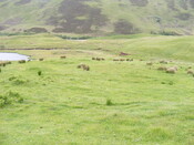EHG4327_011.JPG
