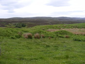 EHG4327_017.JPG