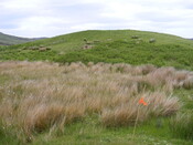 EHG4327_018.JPG
