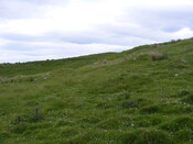 EHG4327_022.JPG