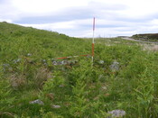 EHG4327_028.JPG