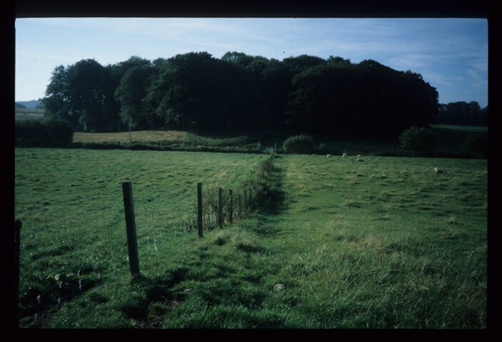 5753.jpg