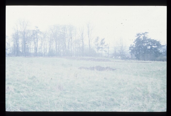 6109.jpg