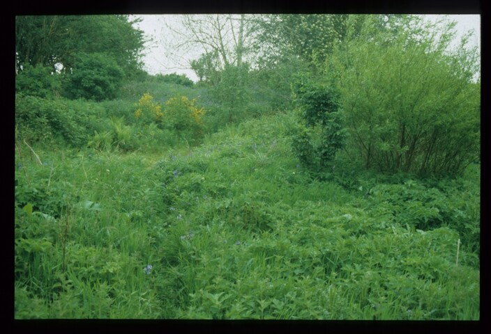 6155.jpg