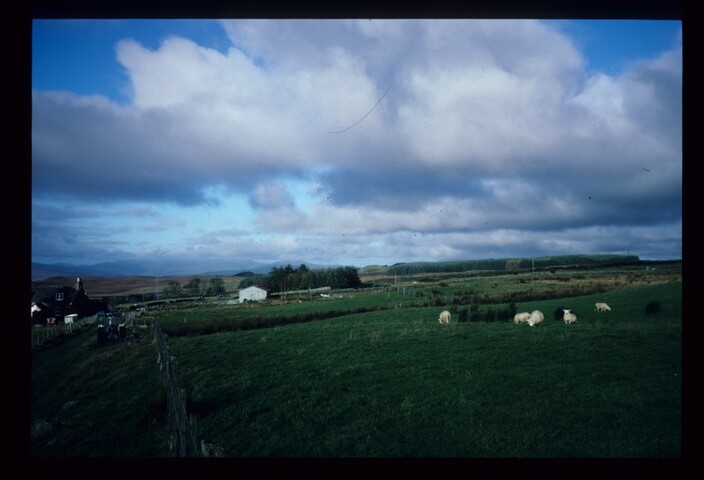 6179.jpg