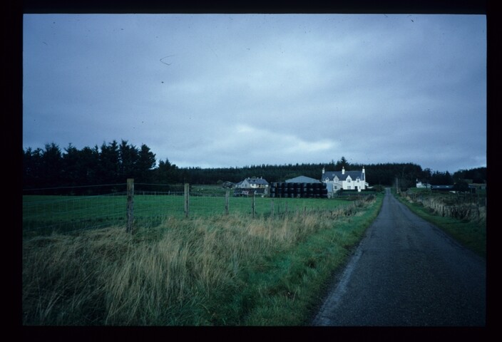 6186.jpg