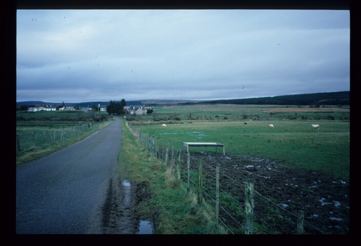 6189.jpg