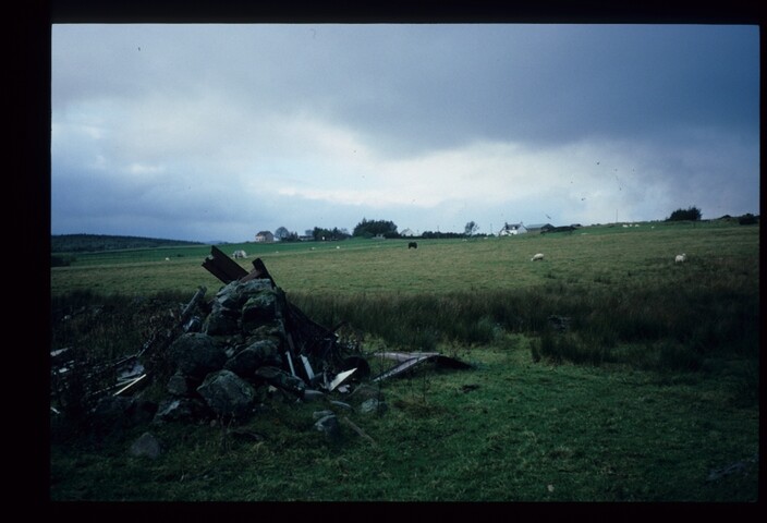 6190.jpg