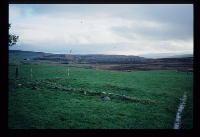 6192.jpg