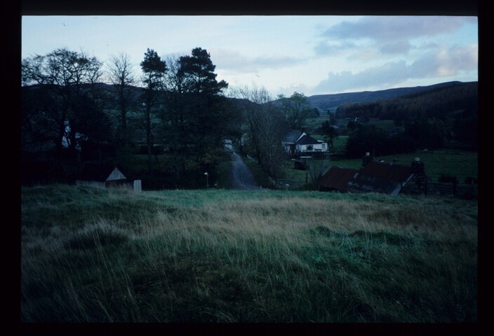 6196.jpg