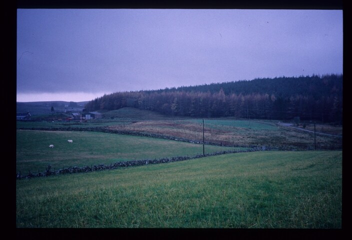 6223.jpg