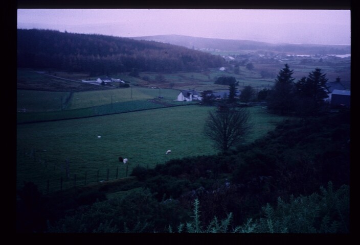 REPORT 760 6224.jpg