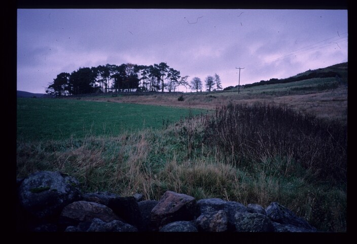 6235.jpg